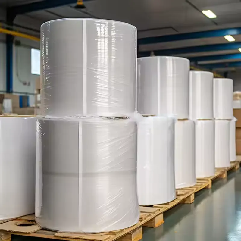 Large Thermal Paper Roll