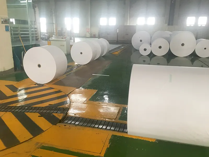 Wood Pulp Copy Paper Rolls