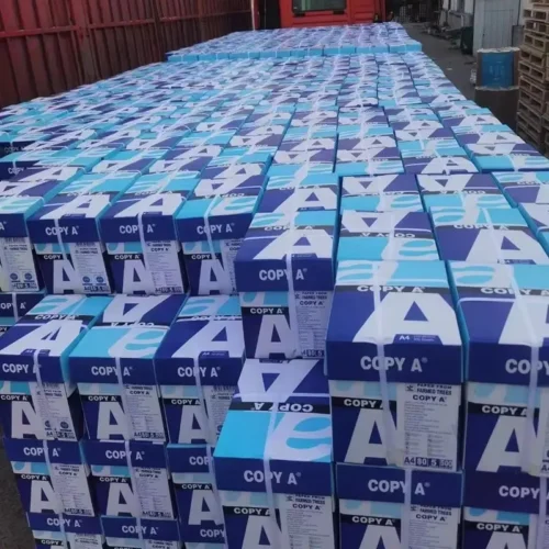 Copy Paper Jumbo Rolls